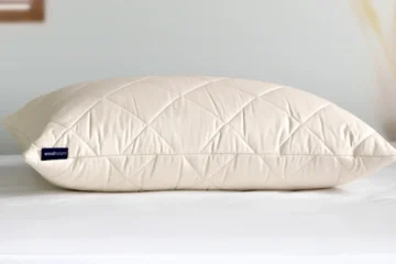 Organic Wool Pillows