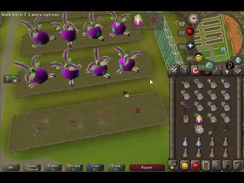 osrs tithe farming