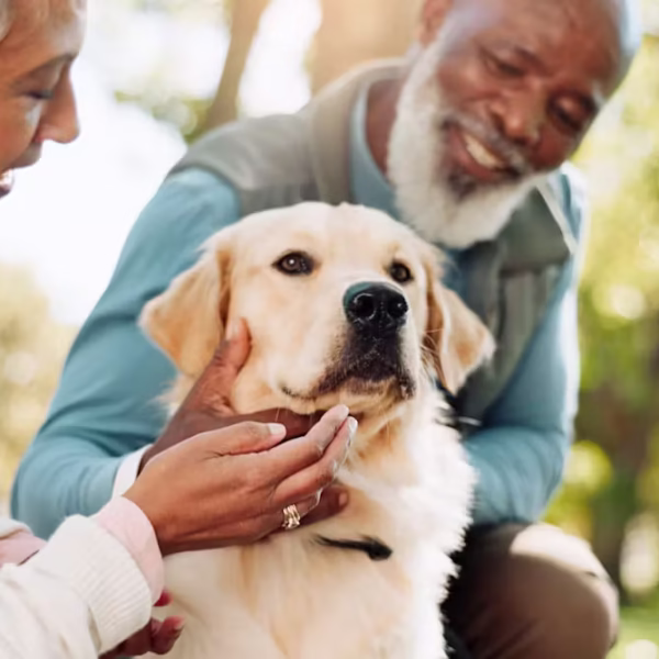 5 Daily Habits for a Happy, Healthy Dog