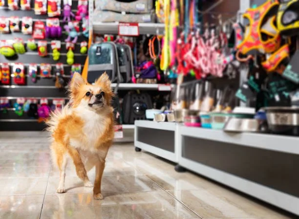 PetsZone
