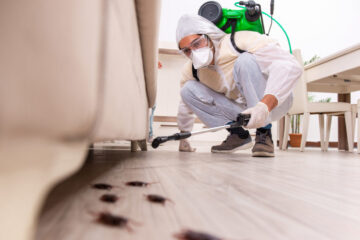 Pest Removal Specialists