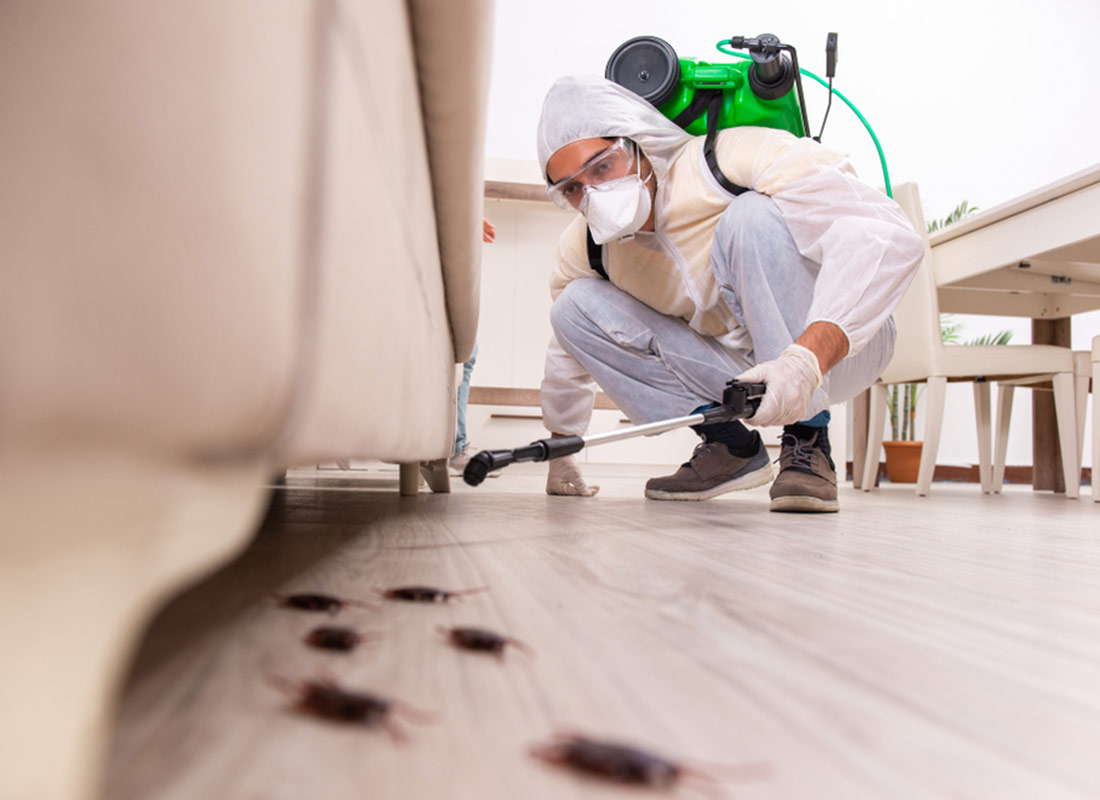 Pest Removal Specialists