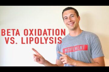 Lipolysis