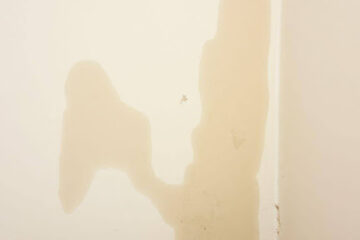 How Portland’s Wet Climate Increases the Risk of Home Water Damage