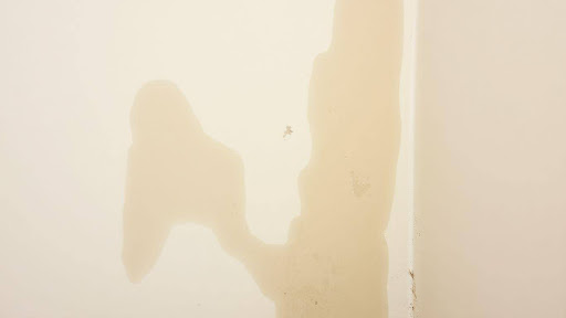 How Portland’s Wet Climate Increases the Risk of Home Water Damage