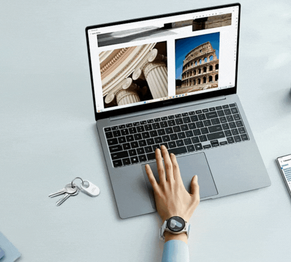 Darlnaija: Everything You Need to Know About It