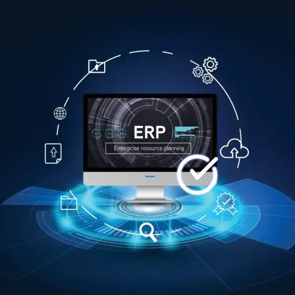 Business Professionals: Key Considerations for Utilizing Sap Erp Cloud Connector by Ba Insight