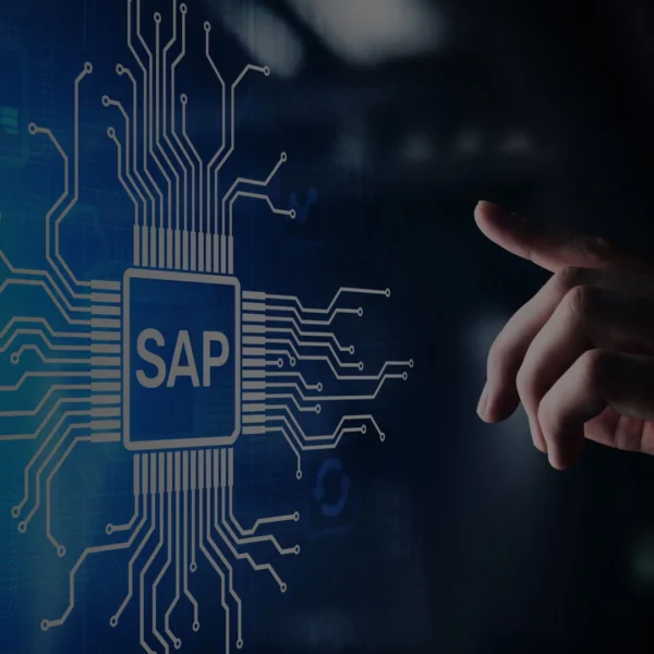 Business Professionals: Key Considerations When Utilizing Sap Erp Connector for Search From Ba Insight
