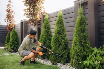 Strategic Tree Care