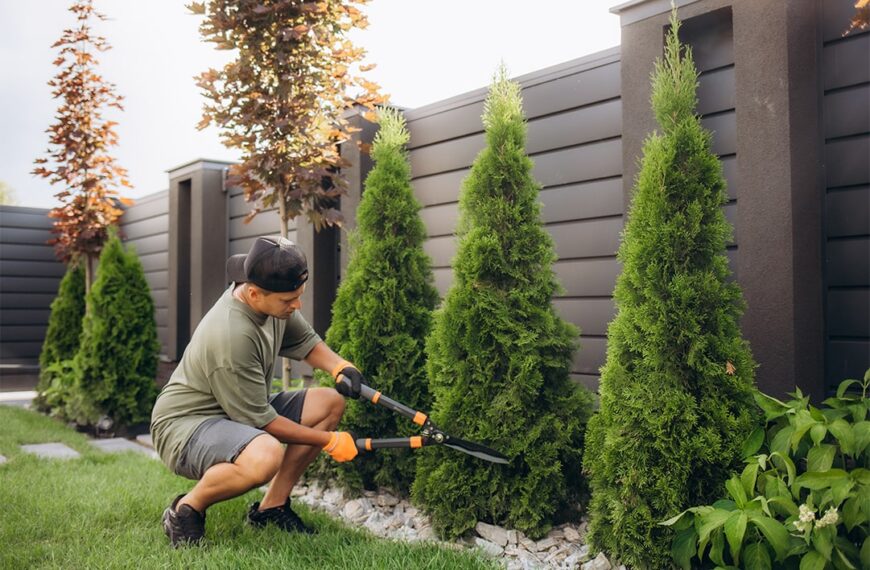 Strategic Tree Care