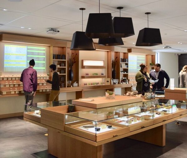 Recreational Dispensary vs Medical Dispensary: Which Option Offers the Best Dispensary in Los Angeles?