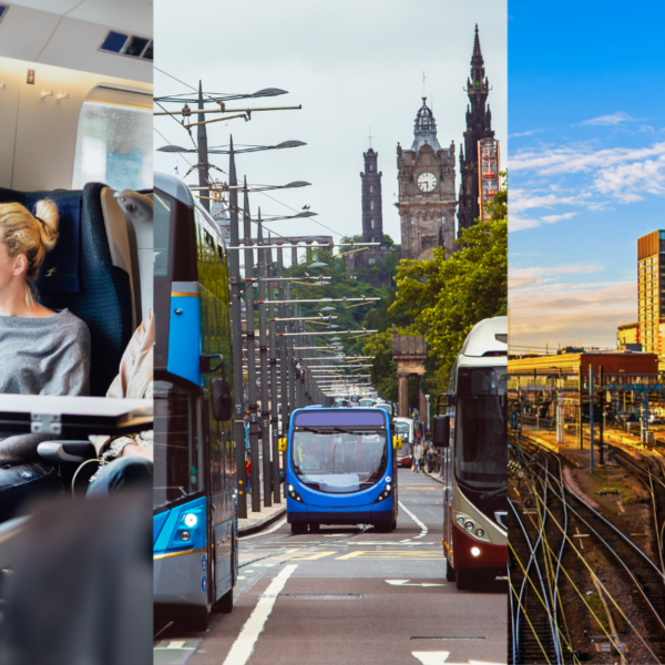 How to Choose the Right Public Transport Software for Your Organization