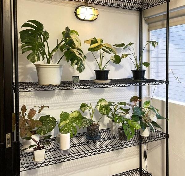 How to Choose the Right Shelving System for Every Storage Space