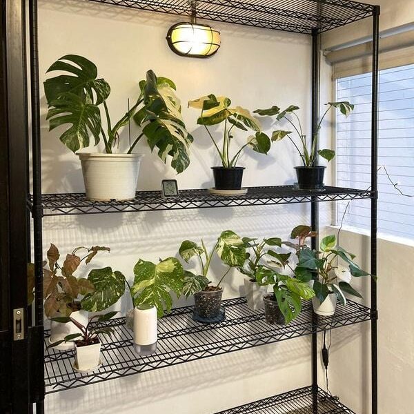 How to Choose the Right Shelving System for Every Storage Space
