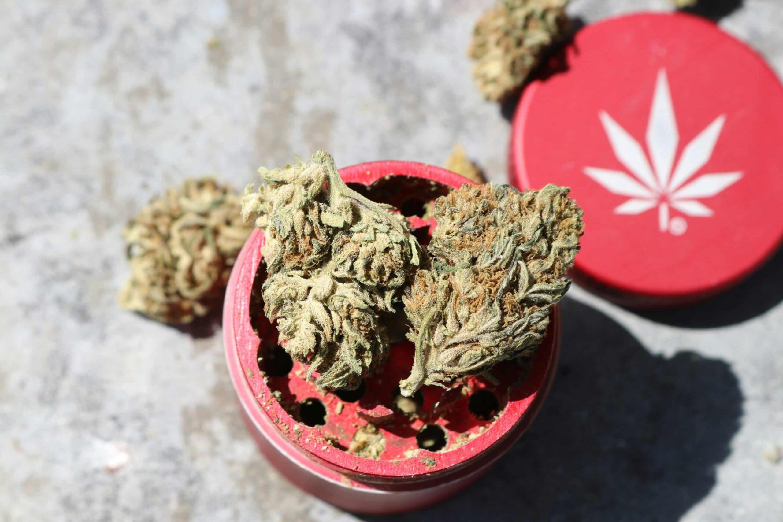 Cannabis