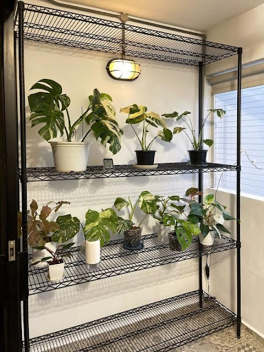How to Plan a Storage System for Small Singapore Homes